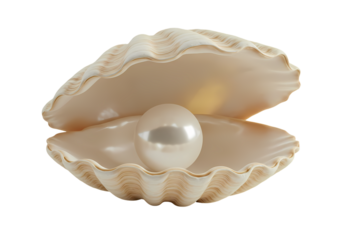A Pearls Gentle Embrace A Clam Shell Unveiling its Treasure isolated on transparent baackground