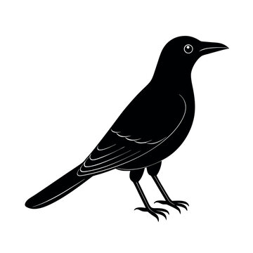 clark s nutcracker