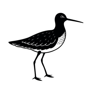 dunlin 