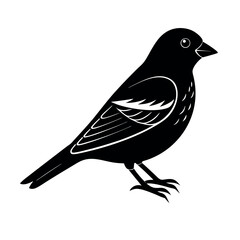 indigo bunting