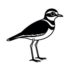 killdeer