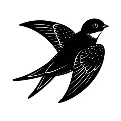 northern rough winged swallow