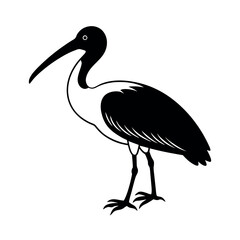 royal spoonbill