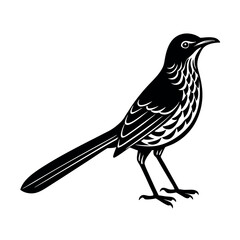 sage thrasher