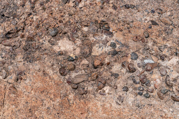 Araucarioxylon arizonicum. Petrified wood / fossilized wood. Crystal Forest Trail, Petrified Forest National Park,  Arizona. Sonsela Member, Triassic Chinle Formation. gravel