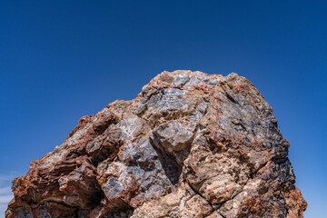 Araucarioxylon arizonicum. Petrified wood  is  a special type of fossilized wood, the fossilized remains of terrestrial vegetation. Crystal Forest Trail, Petrified Forest National Park,  Arizona