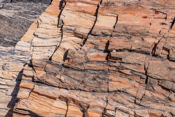 Araucarioxylon arizonicum. Petrified wood  is  a special type of fossilized wood, the fossilized remains of terrestrial vegetation. Crystal Forest Trail, Petrified Forest National Park,  Arizona