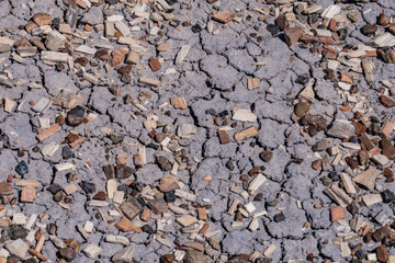 Araucarioxylon arizonicum. Petrified wood  is  a special type of fossilized wood, the fossilized remains of terrestrial vegetation. Crystal Forest Trail, Petrified Forest National Park,  Arizona