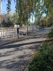 Autumn scene with a sidewalk, fence, and trees.