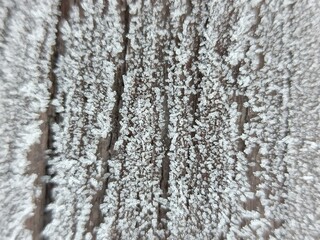 Close-up of Frost on Wood