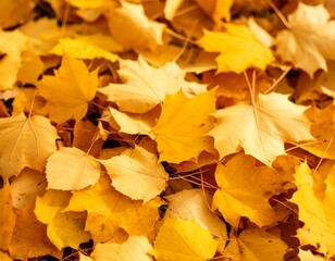 Fototapeta premium yellow, autumn leaves on the ground background AI generated