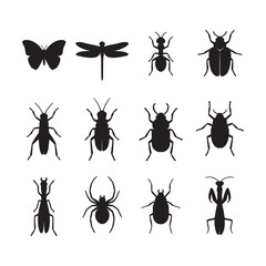 Twelve Black Silhouettes of Insects and Arachnids on White Background featuring Butterfly Dragonfly Ant Beetle Cricket Spider Praying Mantis