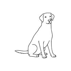 Simple black and white line drawing of a Labrador Retriever dog sitting attentively.