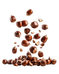 Obraz premium Hazelnuts falling and on black background