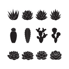 Twelve Black Silhouettes of Succulents and Cacti on White Background Aloe Vera Cactus Plants Echeveria Succulent Designs Botanical Illustrations
