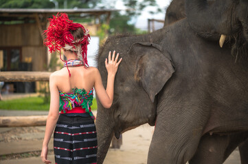 Rear view unknown hilltribe woman in traditional tribal dress standing with elephant, woman and elephant relationship concept