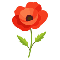 Naklejka premium red poppies isolated on white