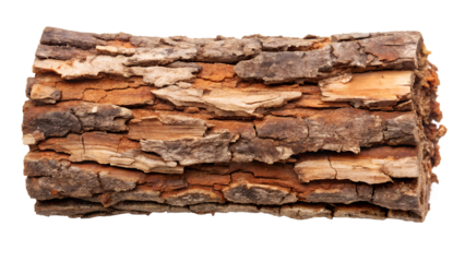 A piece of wood with rough brown bark, isolated on transparent background