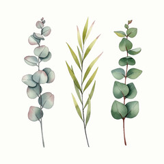 A versatile vector set of eucalyptus branches with a realistic watercolor texture. Isolated and scalable, featuring a rustic green and dusty rose palette.
