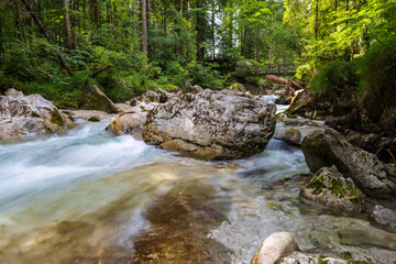 Wasserlauf im Zauberwald am Hintersee in den Alpen bei Berchtesgarden in Deutschland