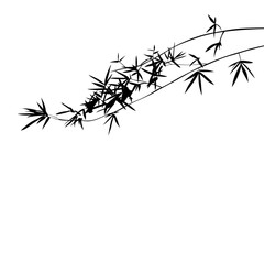 Silhouette of bamboo branches on white background with nature and art design. Nature inspired vector elements and decorative textures. Isolated Background.