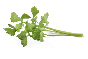 Fresh celery isolated on white background.