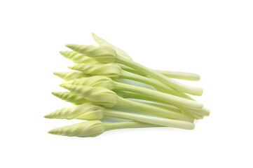 moonflower isolated on white background