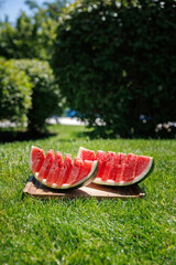 Juicy slices of ripe watermelon arranged on green grass, capturing the essence of summer freshness....