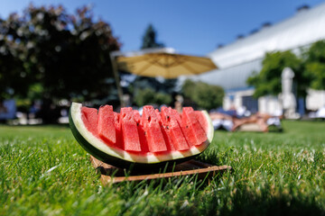 Juicy slices of ripe watermelon arranged on green grass, capturing the essence of summer freshness....