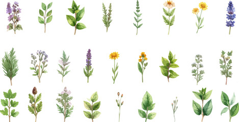 Seamless vector pattern with green leaves, flowers