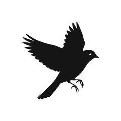 Silhouette of a bird in flight, wings spread, isolated against a white background.