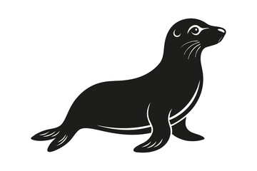 Harbor seal silhouette on white background