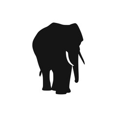 Obraz premium Silhouette of an elephant standing, facing towards the viewer, showing its form.