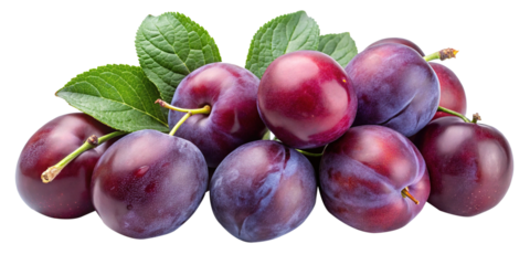 Studio shot of a heap of fresh plums with leaves isolated