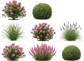 Set of flowering bushes and green shrubs, cartoon garden plants, landscaping elements, decorative flowers, botanical foliage clipart, seasonal floral outdoor nature illustration