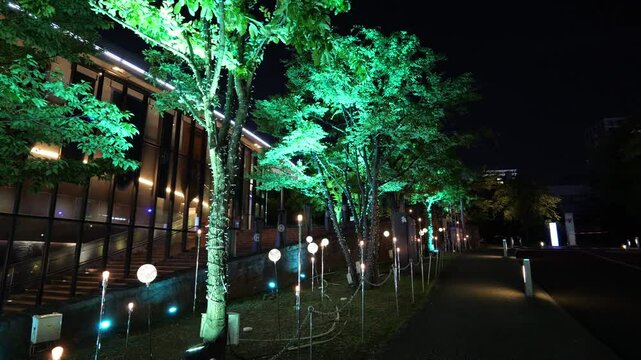 赤坂サカス　夜景　2025年