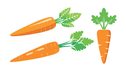 Stylized Carrots with Green Tops on a White Background Vector Illustration