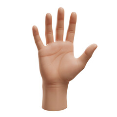 Realistic Vector Illustration of a Hand, Open Palm Gesture in Detailed Vector Graphics