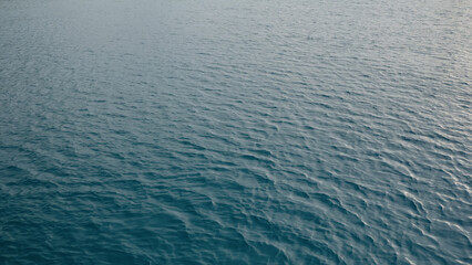 Fototapeta premium closeup shot of ocean water surface