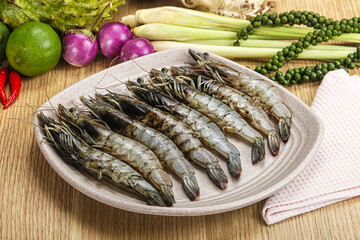 Fresh raw uncooked tiger prawn