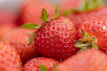 Vibrant Red Strawberries Freshly Picked in a Close-Up View
