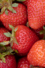 Vibrant Red Strawberries Freshly Picked in a Close-Up View