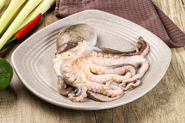 Raw fresh octopus for cooking
