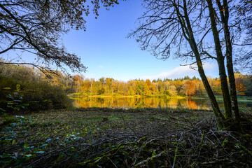 View of the Windsborn Kratersee and the surrounding landscape. Nature at the lake in the Eifel...