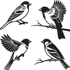 Fototapeta premium Bird Silhouette Vector Icon Design – Flying Animal Outline Graphic for Nature and Wildlife Themes