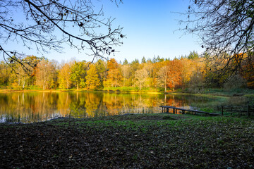 Fototapeta premium View of the Windsborn Kratersee and the surrounding landscape. Nature at the lake in the Eifel region in autumn at the volcanic crater near Bettenfeld. 