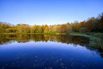 Fototapeta premium View of the Windsborn Kratersee and the surrounding landscape. Nature at the lake in the Eifel region in autumn at the volcanic crater near Bettenfeld. 