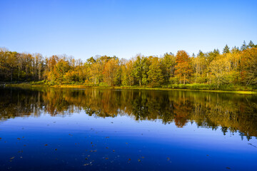 View of the Windsborn Kratersee and the surrounding landscape. Nature at the lake in the Eifel region in autumn at the volcanic crater near Bettenfeld.

