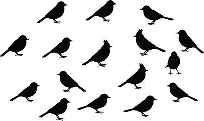 A vibrant and creative 