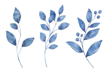Obraz premium Blue&nbsp;leaves watercolor set. Hand painting floral illustration. Indigo&nbsp;leaf, plants, foliage, branches isolated on white background.
